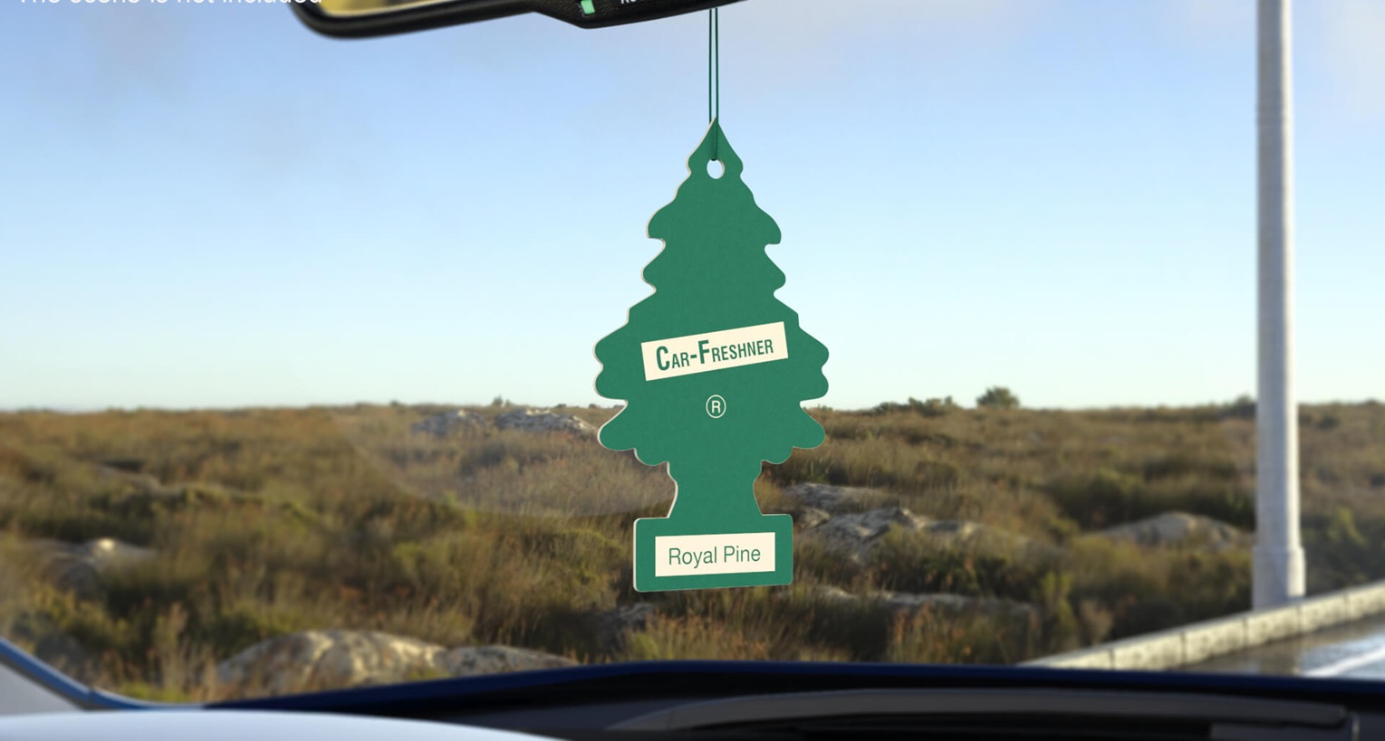 From Spilled Milk to Hollywood Screens: The Little Trees Story